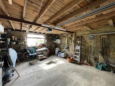 Picture 11